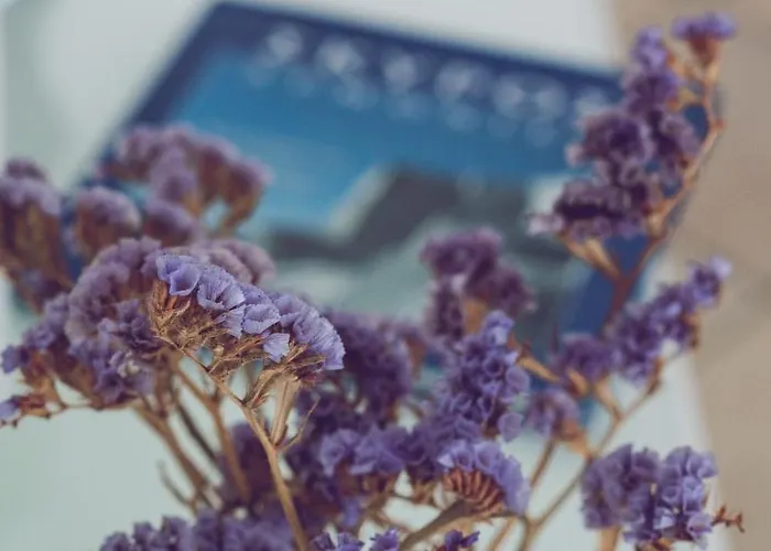 Agalipa Appart hôtel Skyros